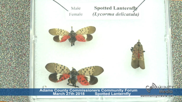 Adams County Commissioners – Spotted Lanternfly – 3/27/2018