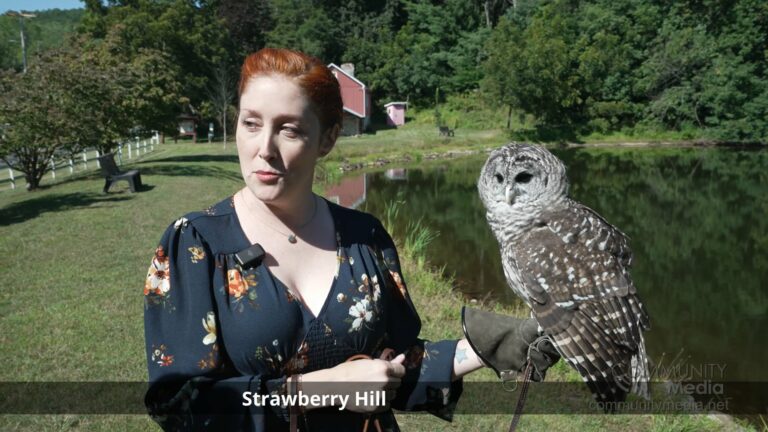 Open House – Strawberry Hill