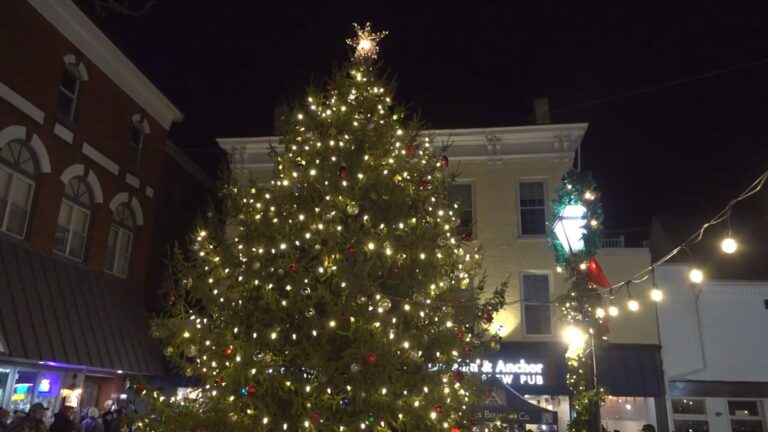 Hanover Christmas Tree Lighting 2024