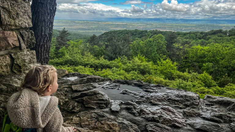 Two Cumberland County Residents Place in 2024 “Leap In” State Park and Forest Photo  Contest
