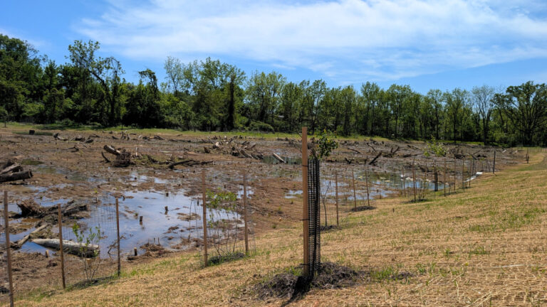 Main Street Hanover Awarded 2026 Environmental Action Grant to Enhance Slagle Run Restoration Project