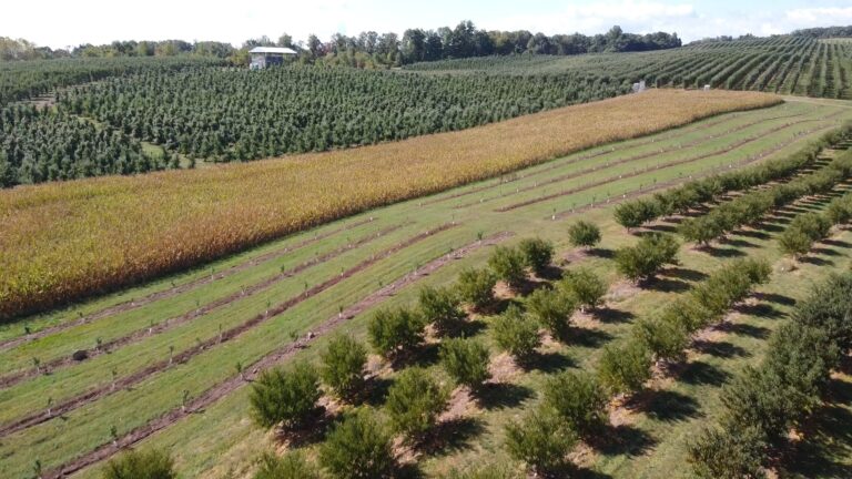 Aid Needed to Save PA Fruit Farmers Following Freeze