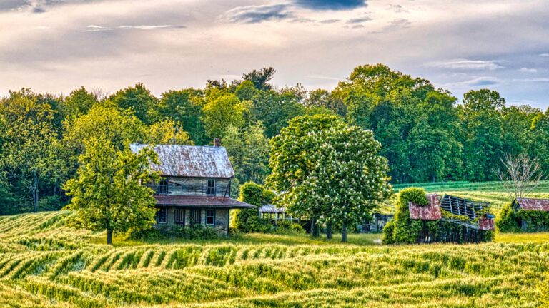 Featured Photo: Farmstead