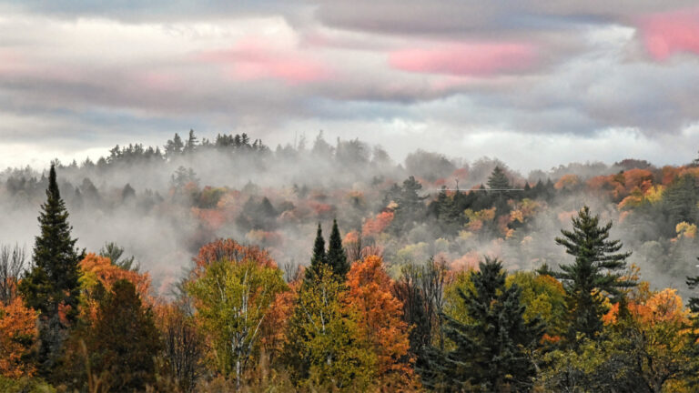 Featured Photo: Autumn in Adirondack Park