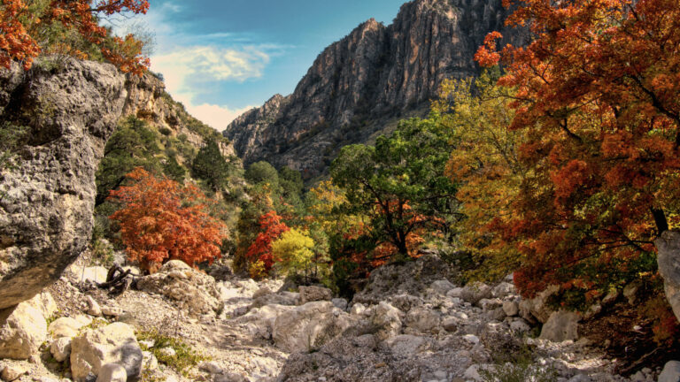 Featured Photo: Guadalupe Mountains National Park